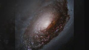 Шри Бабаджи   Я Есть Абсолют