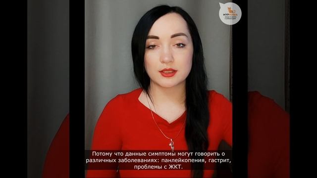 Основные симптомы, свидетельствующие о наличии проблем со здоровьем у питомца. смотреть онлайн