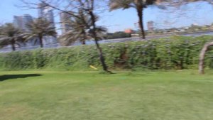 Marbella Resort 4* Шарджа