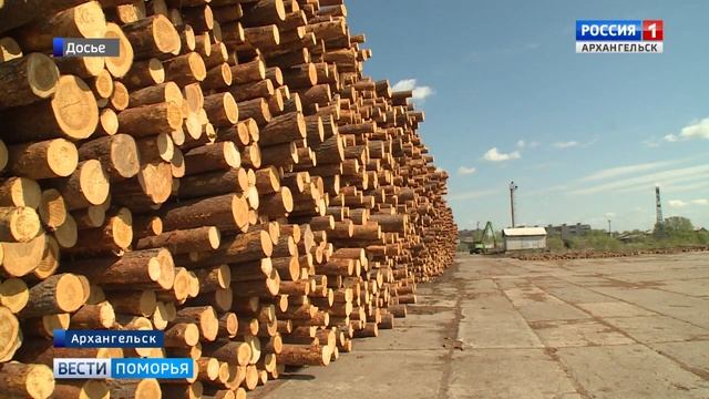 Судебные приставы Архангельска арестовали опилки и кору смотреть онлайн