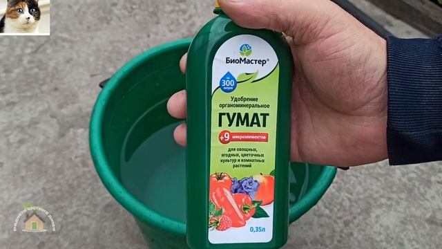 Опрыскивание томатов Гуматом плюс 9 микроэлементов по листу смотреть онлайн