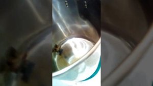 Легко отмыл куб после перегона густой браги