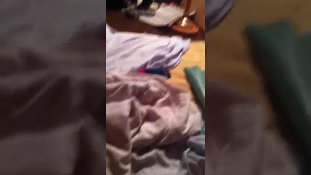 Как прыгают дети с дивана на матрас и с матраса на диван смотреть онлайн