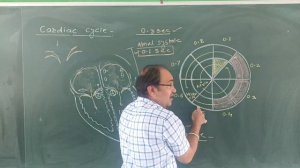 Unlocking the Secrets of the Cardiac Cycle /Cardiac cycle #NEET