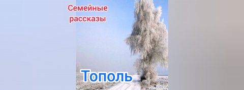 Тополь.