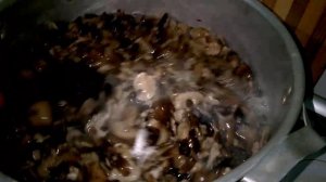 Маринованные Опята на Зиму Рецепт Опят/ Рецепт Опеньків. Грибы.