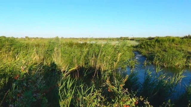 Вечерний выезд на рыбалку!!! бесклевье много воды. смотреть онлайн