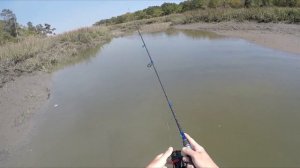 Chasing MONSTER Fish Around Tiny Creek! (Kayak fishing)