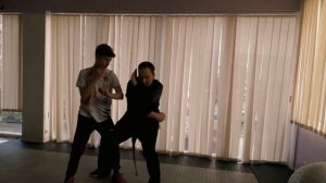 Применение классического движения Хун Гар  Application of the classic Hung Gar movement