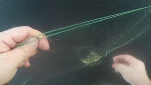 Осенняя рыбалка на сети \ Часть 1