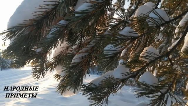 10 ЯНВАРЯ Домочадцев день! Сделайте это и в ваш дом придёт счастье! Исполняются все желания семьи! смотреть онлайн