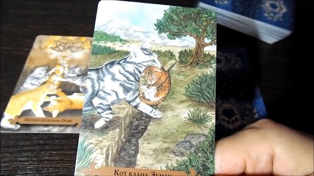 Гадание на 11 МАЯ 2017 года на ТАРО - КАРТА ДНЯ смотреть онлайн