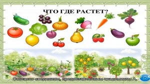 Как и где растет жуткое растение из легенд волчий аконит