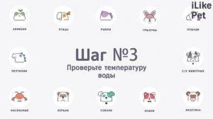 Как правильно мыть лапы собаке после прогулки: видеоинструкция