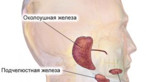 Точка первой помощи при боли в горле 温溜, LI7, WenLiu, как ставить иглу