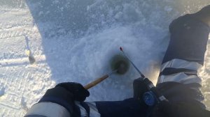 зимняя рыбалка на оз.Чаны 2022 г.