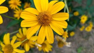 Тень прошлого 1 - 4 серии (сериал 2021)