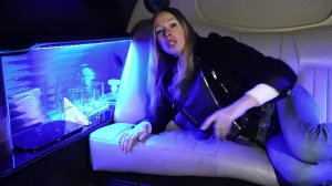Лимузин за 400 т.р. Lincoln Town Car. Метры удовольствия