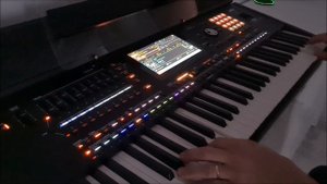 Korg Pa 5X