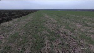 Глубокорыхлитель 2022, Т-150+ ГРС-2.5 "Труженик".