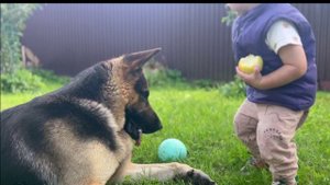 Арсений с новым другом Бэком