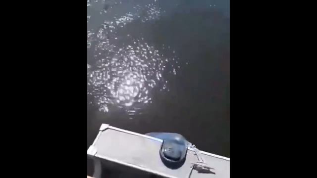 Это Астрахань - ДЕТКА! смотреть онлайн