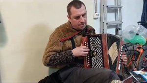 Седая ночь на гармошке