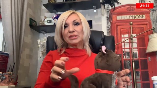 Анатомия и физиология кошек. смотреть онлайн