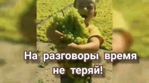 Урожай. Детские христианские песни. Караоке