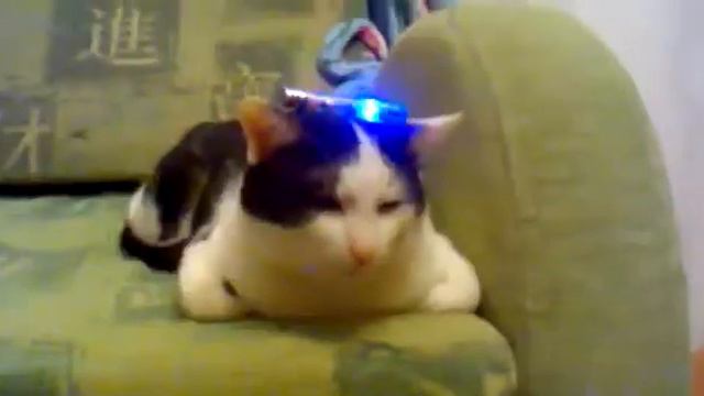 415 База Ответьте смотреть онлайн