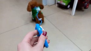 Интерактивная собачка на поводке, ходит, лает и поёт песни