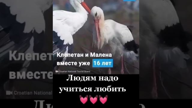 ЛЮБОВЬ И ПРЕДАННОСТЬ💞