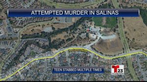 t23 SALINAS ATTEMPT MURDER