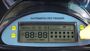 Как работает автоматическая кормушка для кошек и собак?