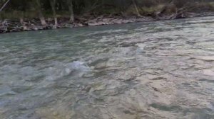 рыбалка в КБР# Trout fishing ? # форель # горы