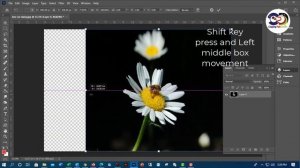 Free Transform in Photoshop – New Features and Changes | Photoshop 2021 Tutorial - Free Transform