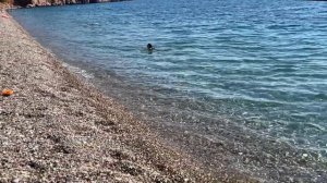 Отель SUITE LAGUNA 3* Анталья. Завтрак. Погода, море, пляж в октябре. Как играют котята в отеле