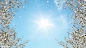 Лечебная музыка Моцарта 🌺 Улучшает Память. Даёт Прилив Творческих Сил 🎧🎧