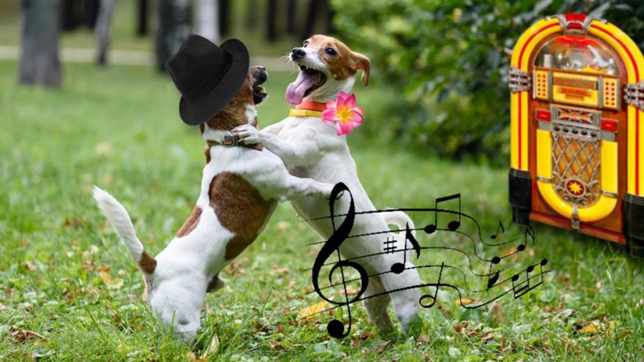 Игры будущего открытие танец собак. Собачка танцует. Танцующая собака. Собаки танцуют вальс. Танцующий пес.