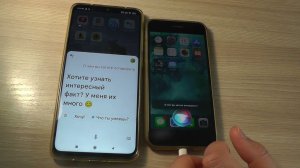 Siri пытается общаться с Google Ассистентом. Apple vs Google
