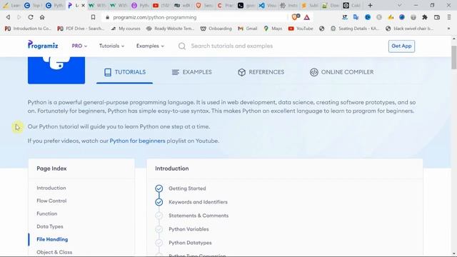 learn programming in efficient and fast way(quickly and easily!) | dinesh com