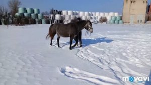 Кружок, качели 03.03.18