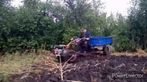 Мотоблок на уборке свеклы.