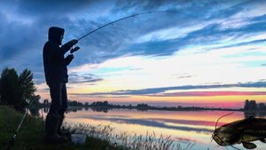 НЕ МОГУ ЕГО УДЕРЖАТЬ! Сомы утаскивает удочки! Рыбалка на сома с берега.