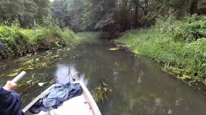 Спиннинг на малых реках.