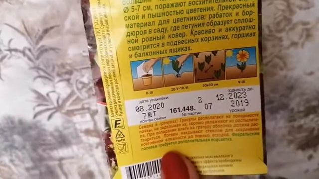 Садовые цветы. Петунии. Обзор на сорт Ламбада F1 бургунди. Семена АЭЛИТА. смотреть онлайн