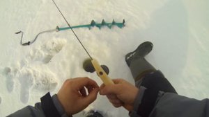 БЕЗМОТЫЛКА В ГЛУХОЗИМЬЕ!!!