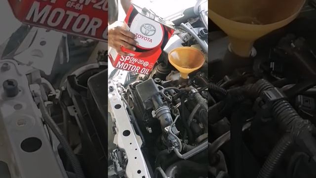 Toyota Genuine Motor Oil 0w20 Fully Synthetic API SP #toyota #lubricant #short #engine #youtube #yt