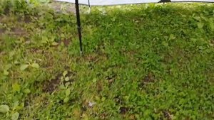 4 Вариант установки тента вместо палатки.