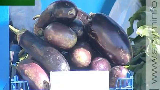 Местные овощи вкуснее и дешевле привозных смотреть онлайн